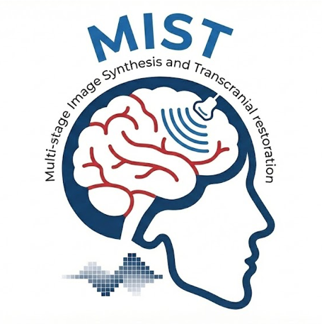MIST logo
