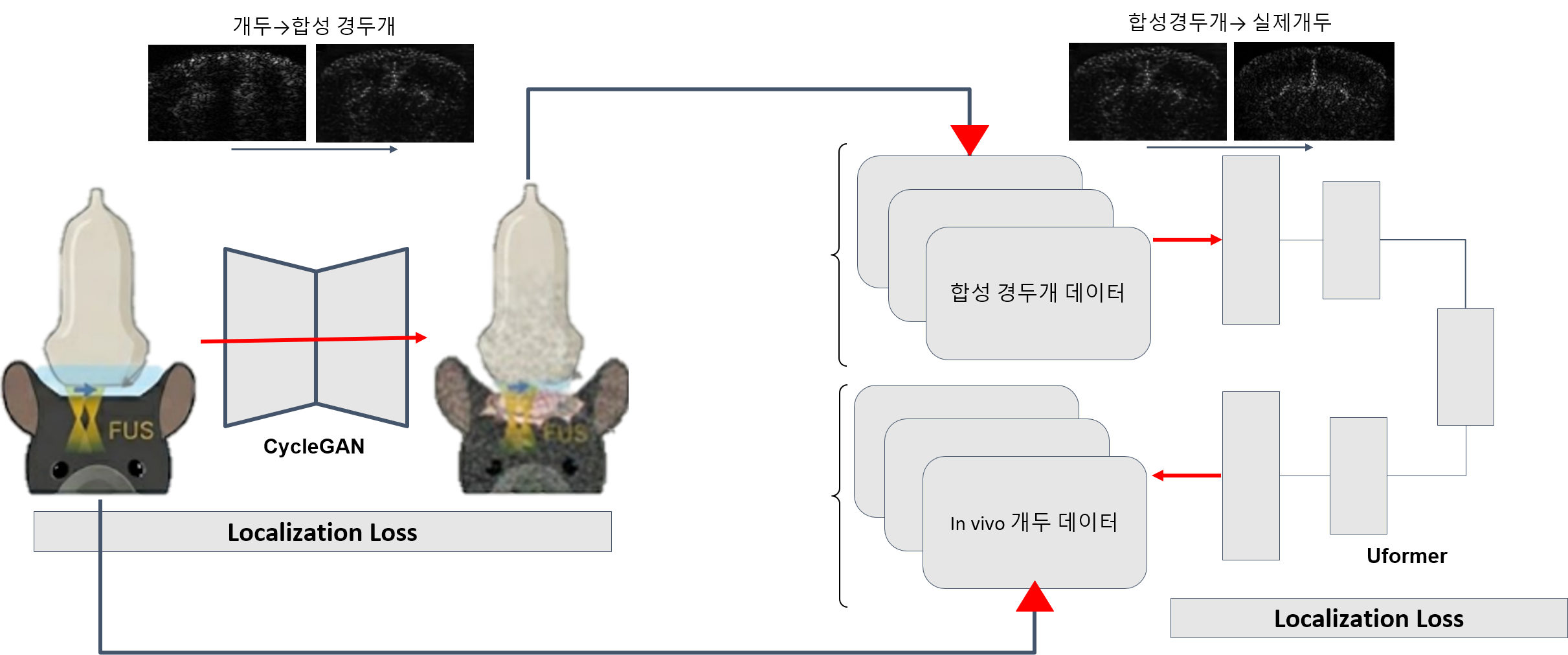 MIST Pipeline Diagram
