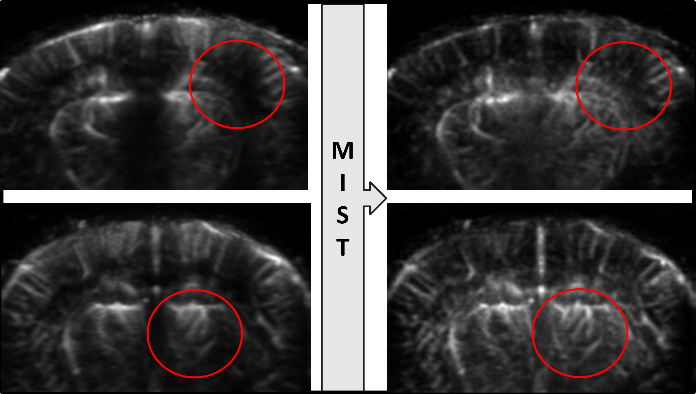 Visual Results