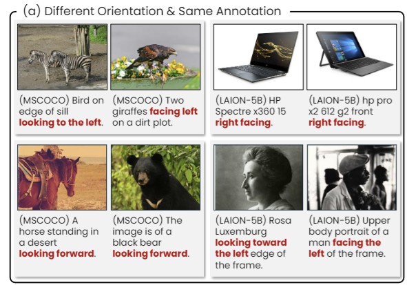 EgoOrientBench Example 2